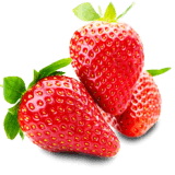 aardbeiplanten.eu