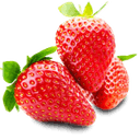aardbeiplanten.eu